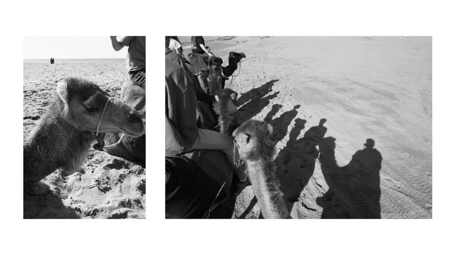 Tánger, fotografía 11
