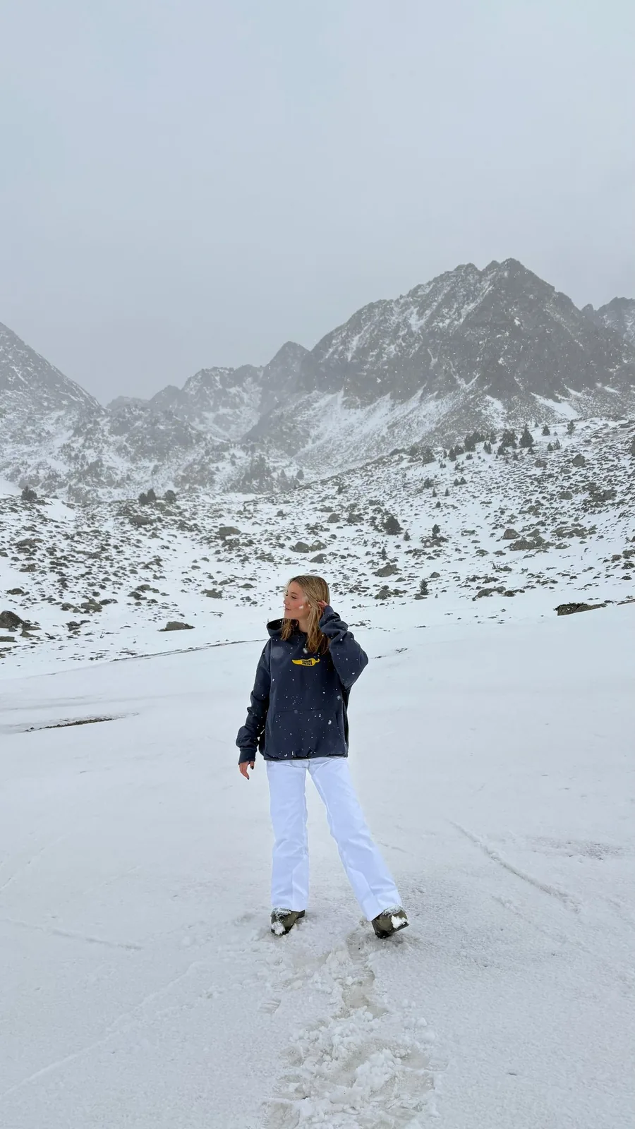 Modelo nieve